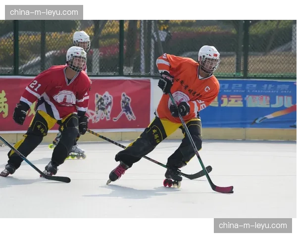 北美冰球青少年参与度报告发布：街头与轮滑冰球项目增长显著